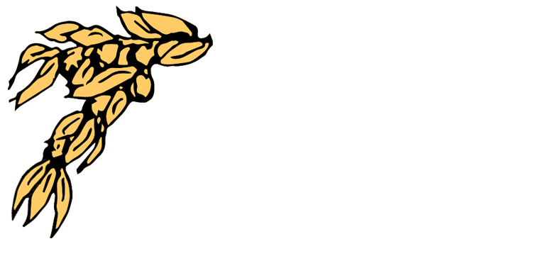 Olive Branch Mennonite Missions